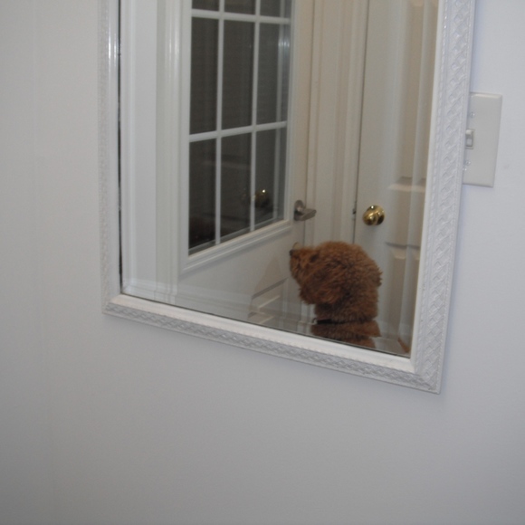 Meet your Posher, Sofie - Picture 2 of 8